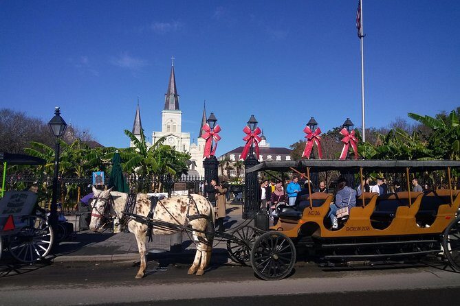 A Local's Private French Quarter Walking or Biking Tour - Frenchmen Street: Live Music Energy, With a Local Guide Sorting It Out