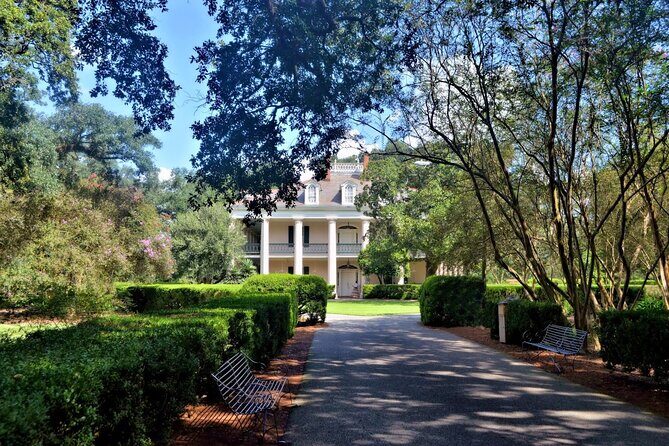 Explore Oak Alley Plantation Guided Tour with Transportation - Hotel pickup and the practical comfort of riding with the group