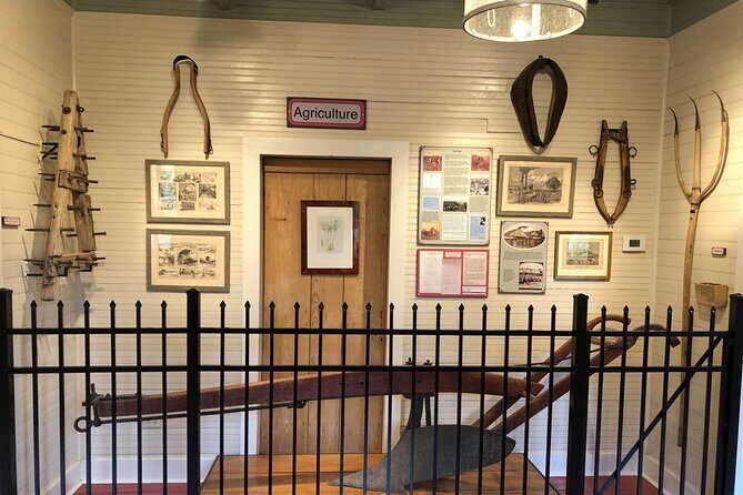 Full-Day Laura Plantation & Airboat Swamp Tour with Pick up - The pacing question: how the day flows (and where it might pinch)