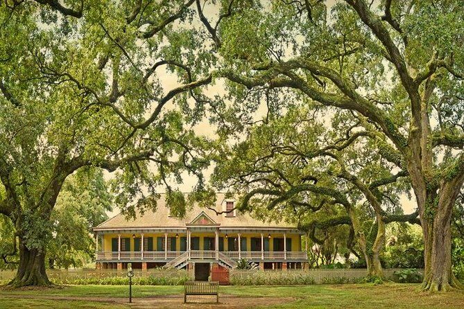 Laura Plantation and Airboat Tour Combo with Hotel Pickup - Duration and Timing: How the 8-Hour Day Feels