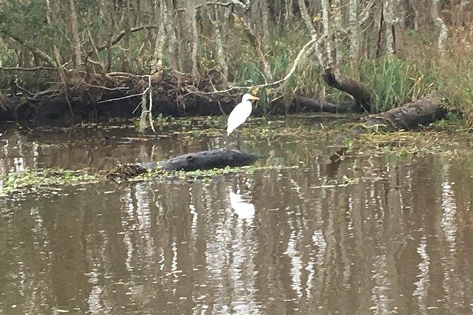 Laura Plantation and Airboat Tour Combo with Hotel Pickup - Price and Value: Is $152 Per Person a Good Deal?