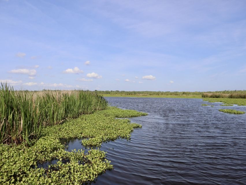 New Orleans: 10 Passenger Airboat Swamp Tour - Getting from New Orleans: pickup realities and what to plan