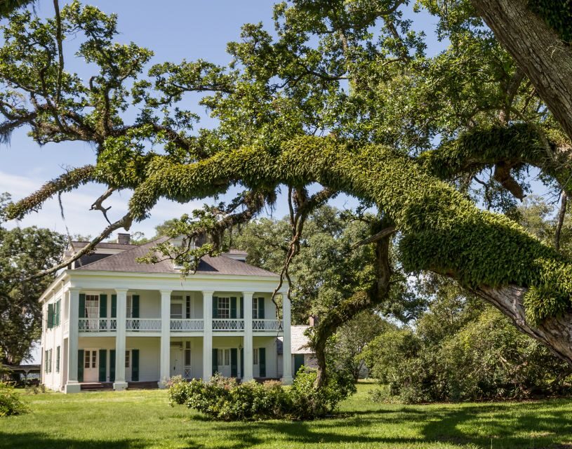 New Orleans: Felicity Plantation Guided Tour - The Waguespack connection and why the sugarcane story doesn’t end