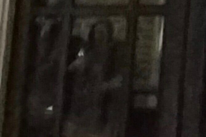 New Orleans Ghost Adventure with Real Paranormal Equipment - Stop 4: St. Louis Cathedral for stories in the middle of everything