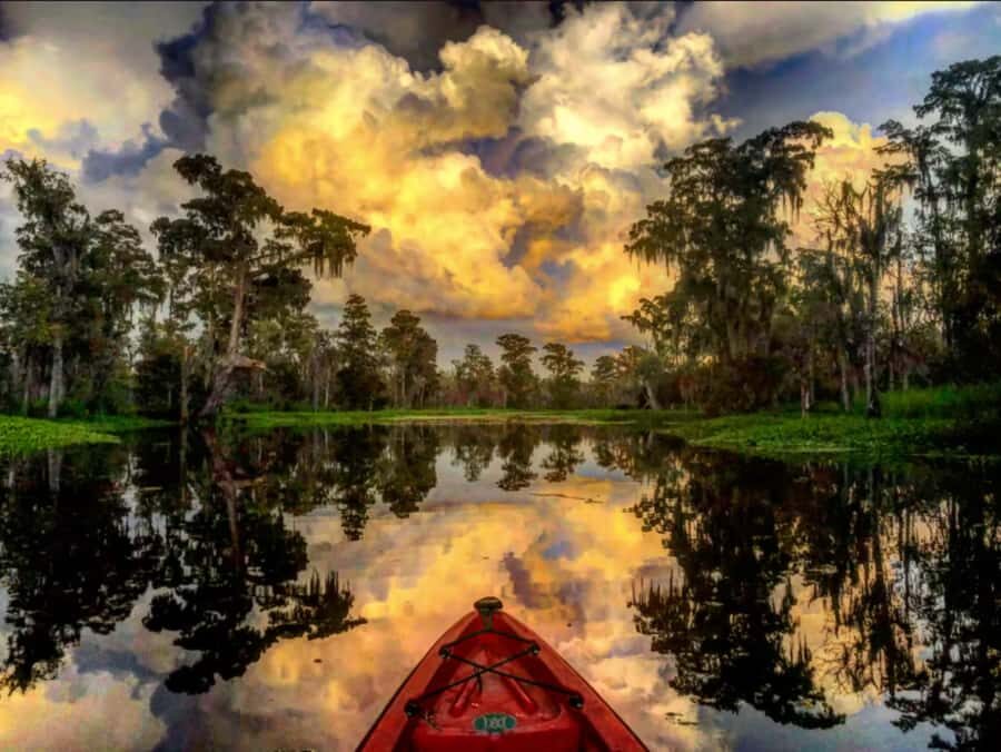 New Orleans: Manchac Swamp Wildlife Kayaking Tour - What You’ll Really Feel on the Water (Gear, Comfort, and Rain)