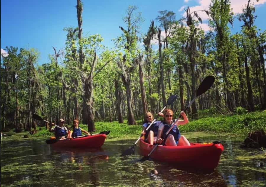 New Orleans: Manchac Swamp Wildlife Kayaking Tour - The 4–8 Hour Flow: Lesson, Glide, Wildlife, Then Back