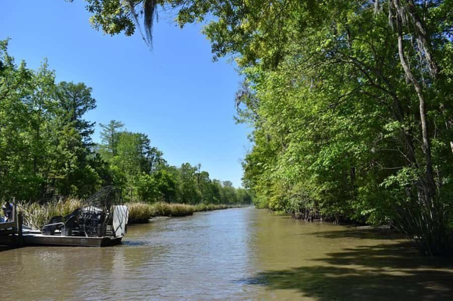 New Orleans: Oak Alley Plantation Tour and Airboat Tour - Key highlights that drive the experience