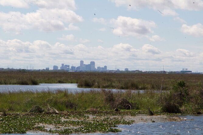 New Orleans Self-Guided Kayak Bayou Swamp Tour - Self-guided kayaking, with real-world help (not total guesswork)