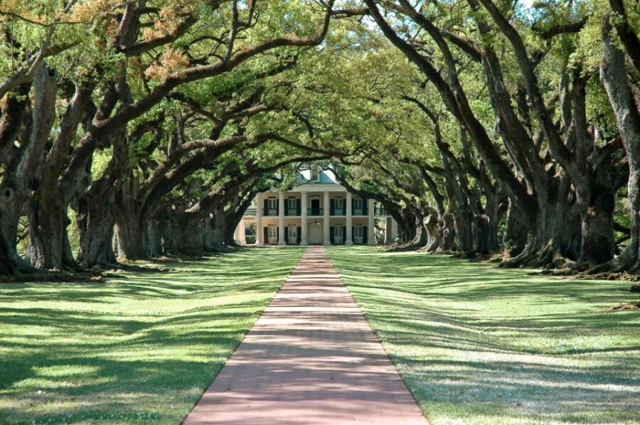 New Orleans: Single Plantation and Pontoon Swamp Day Trip - Key things to know before you go