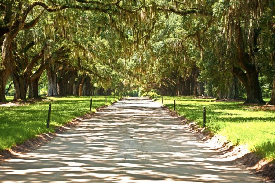 New Orleans: Single Plantation and Pontoon Swamp Day Trip - Oak Alley Plantation: Big House interiors and the Oak Alley exhibit