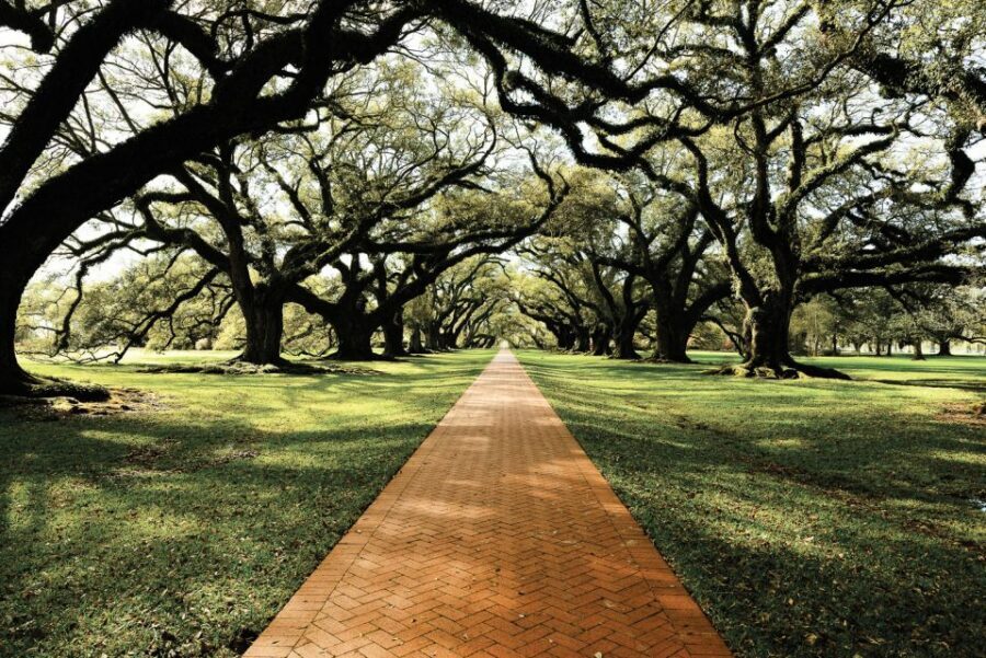 New Orleans: Single Plantation and Pontoon Swamp Day Trip - What the included tickets really cover (and what they don’t)