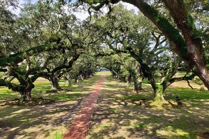 Oak Alley or Laura Plantation Tour from New Orleans - Who this tour fits best (and who should consider alternatives)
