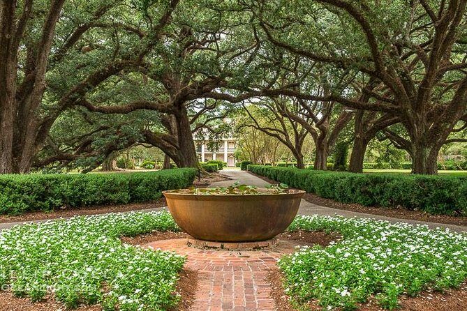 Oak Alley Plantation and Large Airboat Swamp Tour from New Orleans - Wildlife spotting on the water: gators, birds, and photo stops