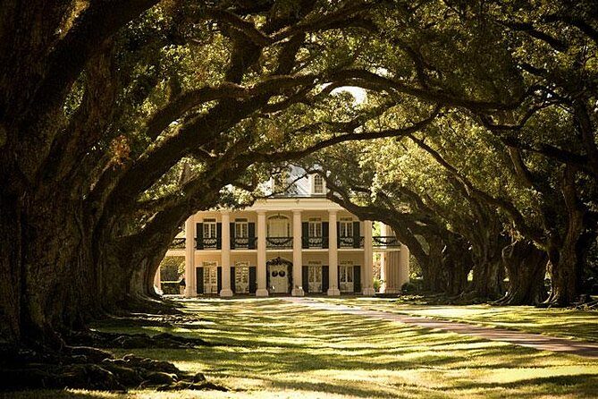 Oak Alley Plantation and Small Airboat Tour from New Orleans - Barataria Preserve airboat: speed, stadium seating, and gator odds