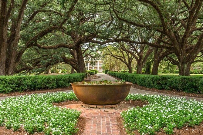 Oak Alley Plantation and Swamp Boat Tour from New Orleans - Value and price: why $130 can be a good deal or not