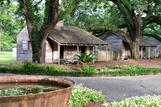 Oak Alley Plantation and Swamp Boat Tour from New Orleans - Should you book Oak Alley Plantation and the Barataria Swamp tour?