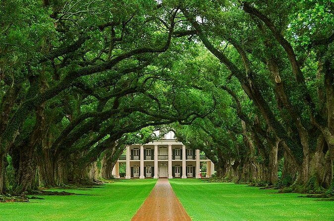 Oak Alley Plantation Half-Day Tour from New Orleans - Food and Drinks: Plan for Own-Cost Meals
