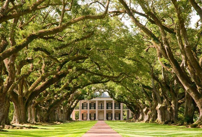 Oak Alley Plantation Tour with Transportation - Key Things to Know Before You Go