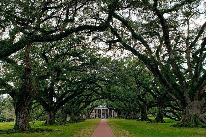 Oak Alley Plantation Tour with Transportation - The Timing Inside Your Day: A Simple Plan