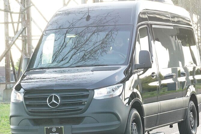 Private Hotel & Airport Transfers in the New Orleans Area One Way - Key Highlights You Should Know