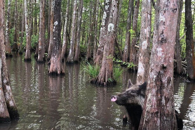 Private Tour of the Honey Island Swamp - Cajun village scenes: fishing nearby adds a human layer