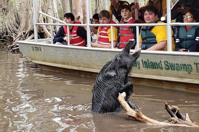 Private Tour of the Honey Island Swamp - What to wear and how to handle swamp weather