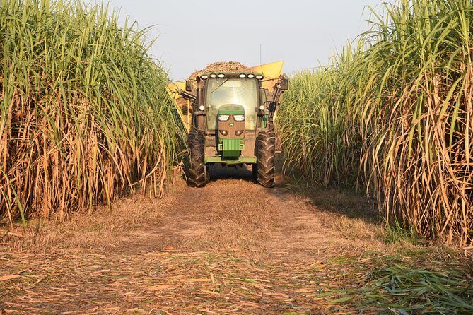 St. Joseph and Felicity Plantation Combo Tour - How the tour handles slavery and sugarcane trade history