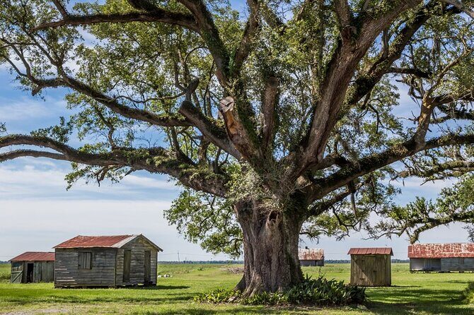 St. Joseph and Felicity Plantation Combo Tour - Timing in a roughly 3-hour window (and how not to waste it)