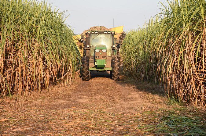 St. Joseph and Felicity Plantation Combo Tour - What you’ll actually see and do on the ground