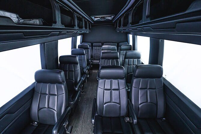 Transfer from New Orleans MSY or Port to New Orleans by Minibus - Meet-and-greet details: where your chauffeur will be and what to do
