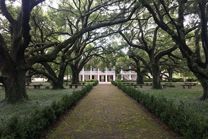 Two Plantation Tour: Oak Alley and Laura or Whitney - Lake Pontchartrain Crossing: Marsh Views on the Way to the Main Stops