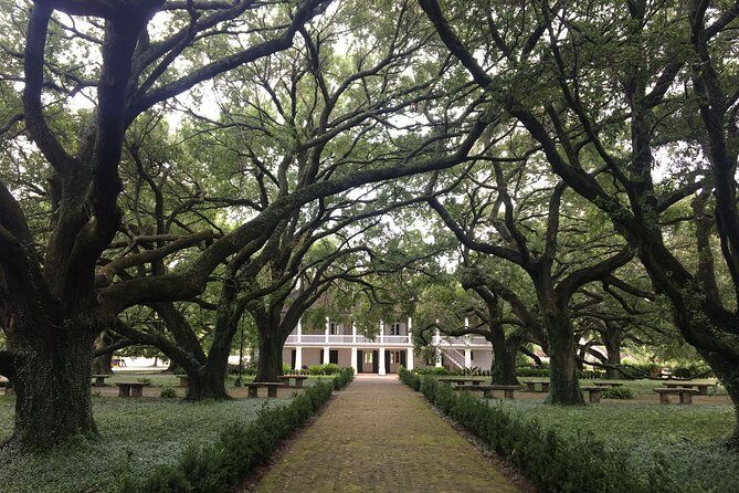 Whitney Plantation and Airboat Tour from New Orleans - The Airboat Ride: Marsh Speed, Wildlife Chances, and Cold Reality
